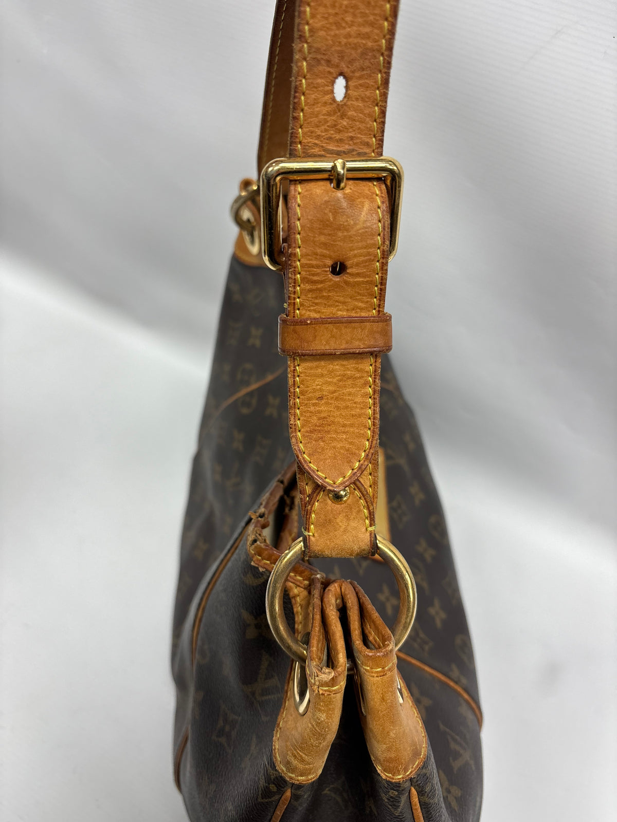 Louis Vuitton galliera PM bag